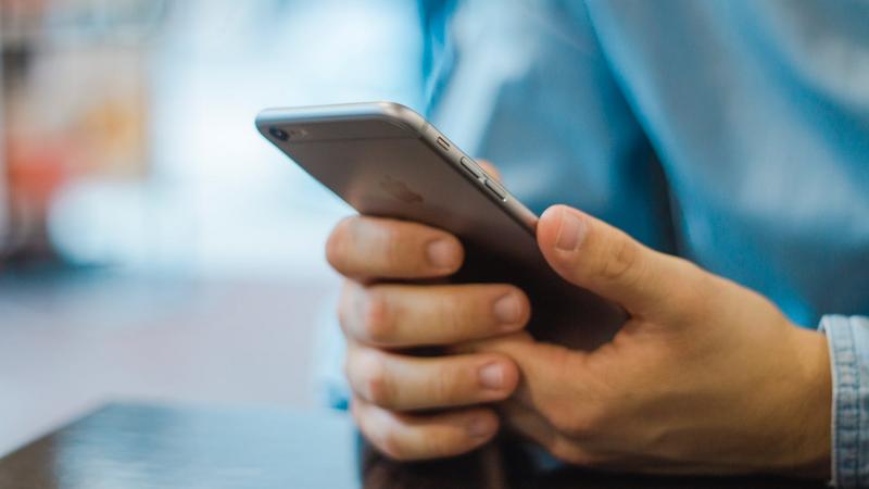 Мобильное приложение Единой карты петербуржца в будущем станет соцсетью